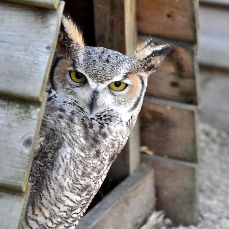 B&B 't Solveldje Bilzen Kültér fotó
